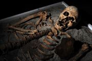Vampire Fossil