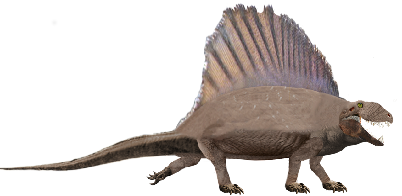 Download Dimetrodon (SciiFii) | Fanon Wiki | Fandom