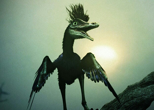 avian and non avian dinosaurs