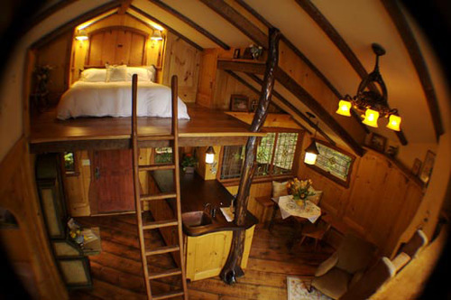 tree house inside bedroom filetreehouse insidejpg image treehouse fanon wiki fandom powered by wikia tree house inside bedroom filetreehouse insidejpg image treehouse fanon wiki fandom powered by wikia