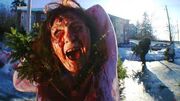 Treevenge Horror Movie Disc Free