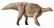 Elephant Beast