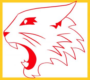 How-to-draw-high-school-musical-wildcats-logo-tutorial-drawing