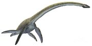 Elasmosaurus (SciiFii)