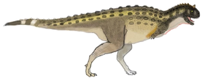 Carnotaurus (SciiFii)