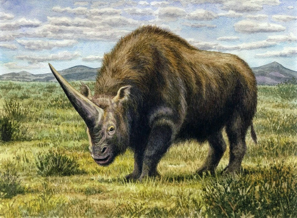 Darwin s Giant Rhinoceros Fanon Wiki Fandom