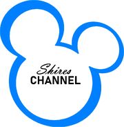Shires Channel 2002-2010 Logo