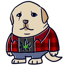 Pablo