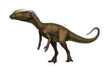 Liliensternus (SciiFii)