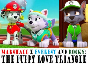 paw patrol rocky and marshall