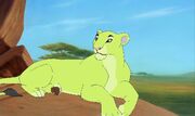 Empty-Backdrop-from-The-Lion-King-disney-crossover-29386675-1093-648