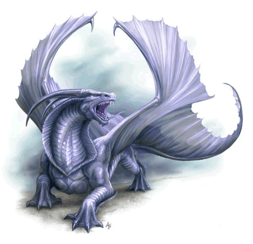 Dragao-15248