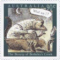 Bunyipberkeley