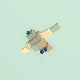 Linter Bird