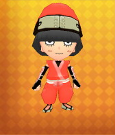 Ninja Outfit Example