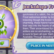 The Arena Fantasy Forest Story Wiki Fandom