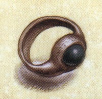 Traveler ring
