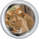 Badge-1-4