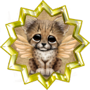 Badge-category-6