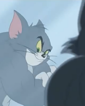 Tom Cat Fantasy Fiction Wikia Fandom