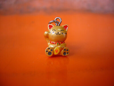 Tiny Cat
