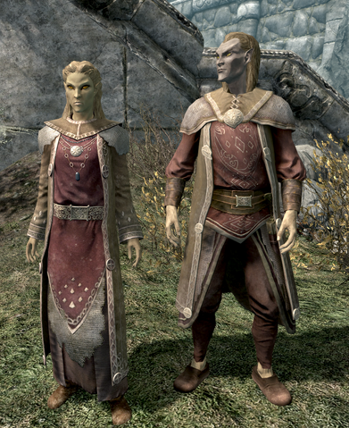 File:Altmer.png