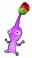 Rose Pikmin