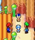 Toadilo