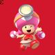 Toadette SSBD