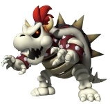 Dry Bowser MSOWG