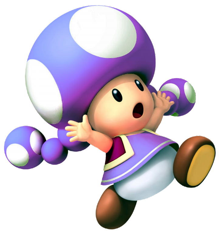 Image Purple Toadettepng Fantendo Nintendo Fanon Wiki Fandom 