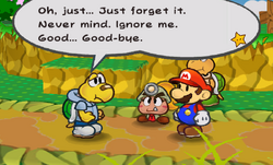 KoopsMemory1