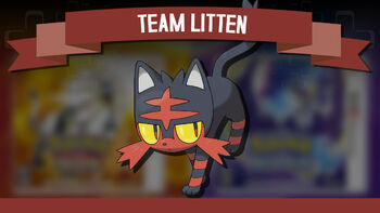 TeamLitten