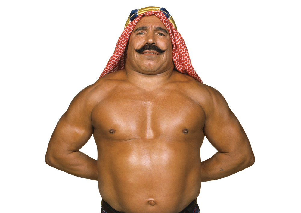 Image IconThe Iron Sheik.png Fantendo Nintendo Fanon Wiki