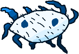 Oie transparent(3)