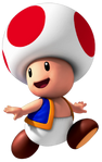 Toad (NSML)
