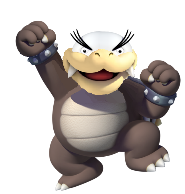 Hector Koopa | Fantendo - Nintendo Fanon Wiki | FANDOM powered by Wikia