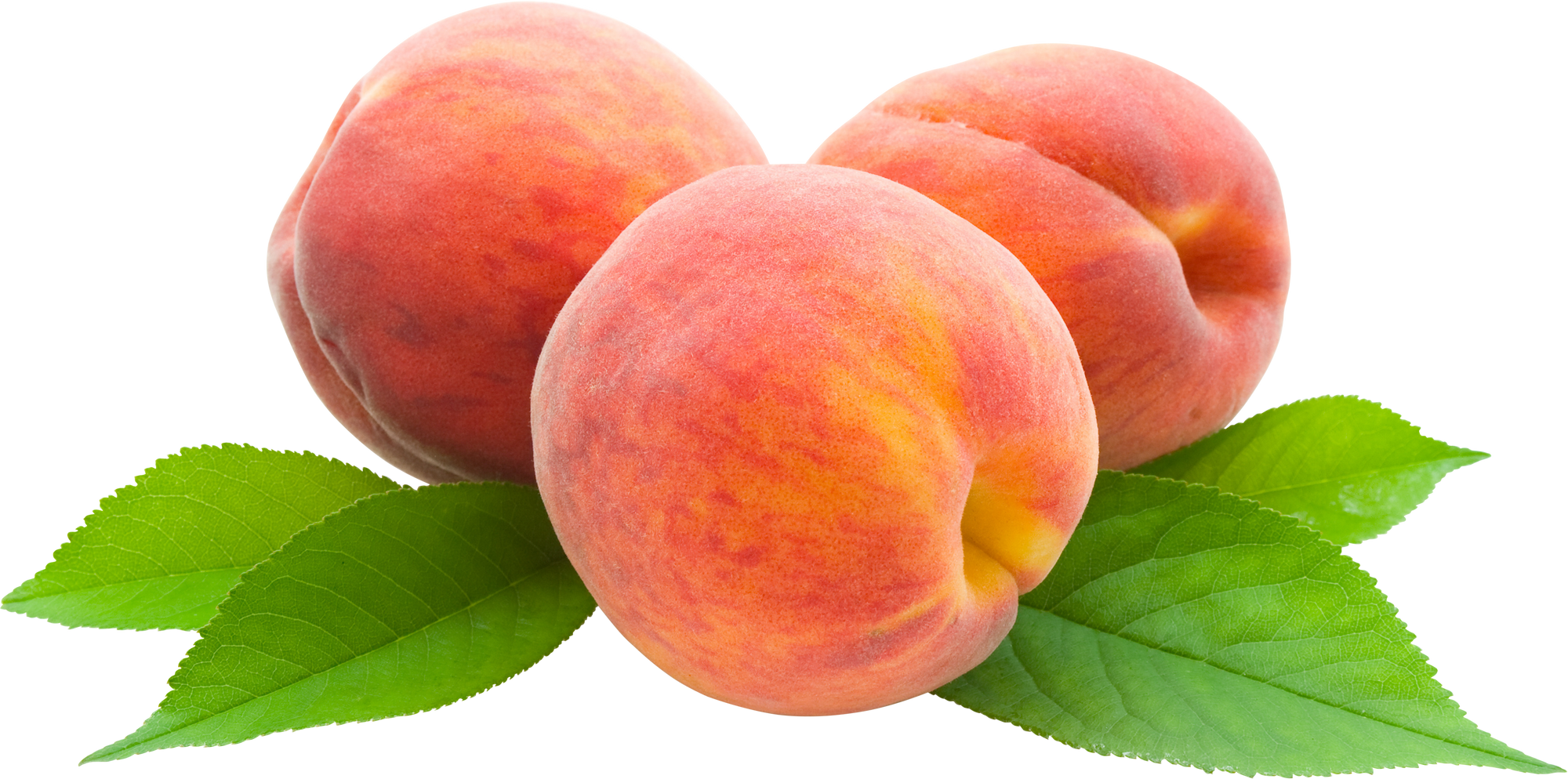 Image - Peaches.png | Fantendo - Nintendo Fanon Wiki | FANDOM powered