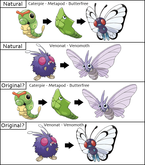 pokemon evolution theories fantheories wiki fandom powered by wikia aerodactyl evolution chart