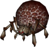 Armogohma Eye (front)