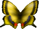 Butterfly (Ocarina of Time)