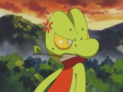 Unhappy treecko