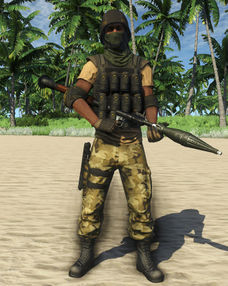Privateer RPG Shooter