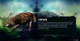 FC3 Leopard