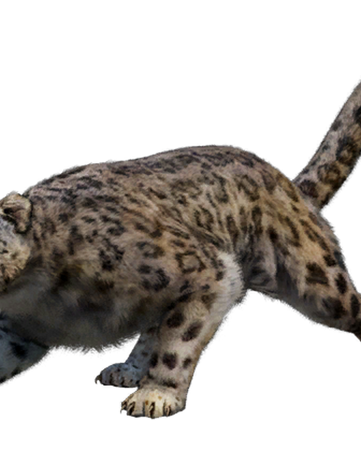 Snow Leopard Far Cry Wiki Fandom