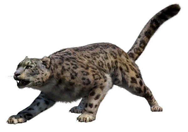 Snow Leopard | Far Cry Wiki | FANDOM powered by Wikia