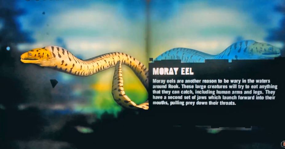 Eels Meet The Eels Rarity