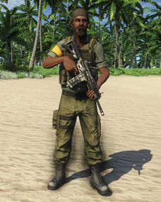 Privateer Assaulter