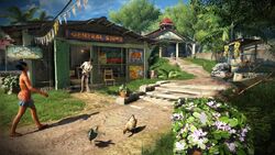 FC3 Amanaki Gen Store