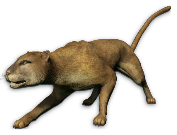 Felidae Far Cry Wiki Fandom